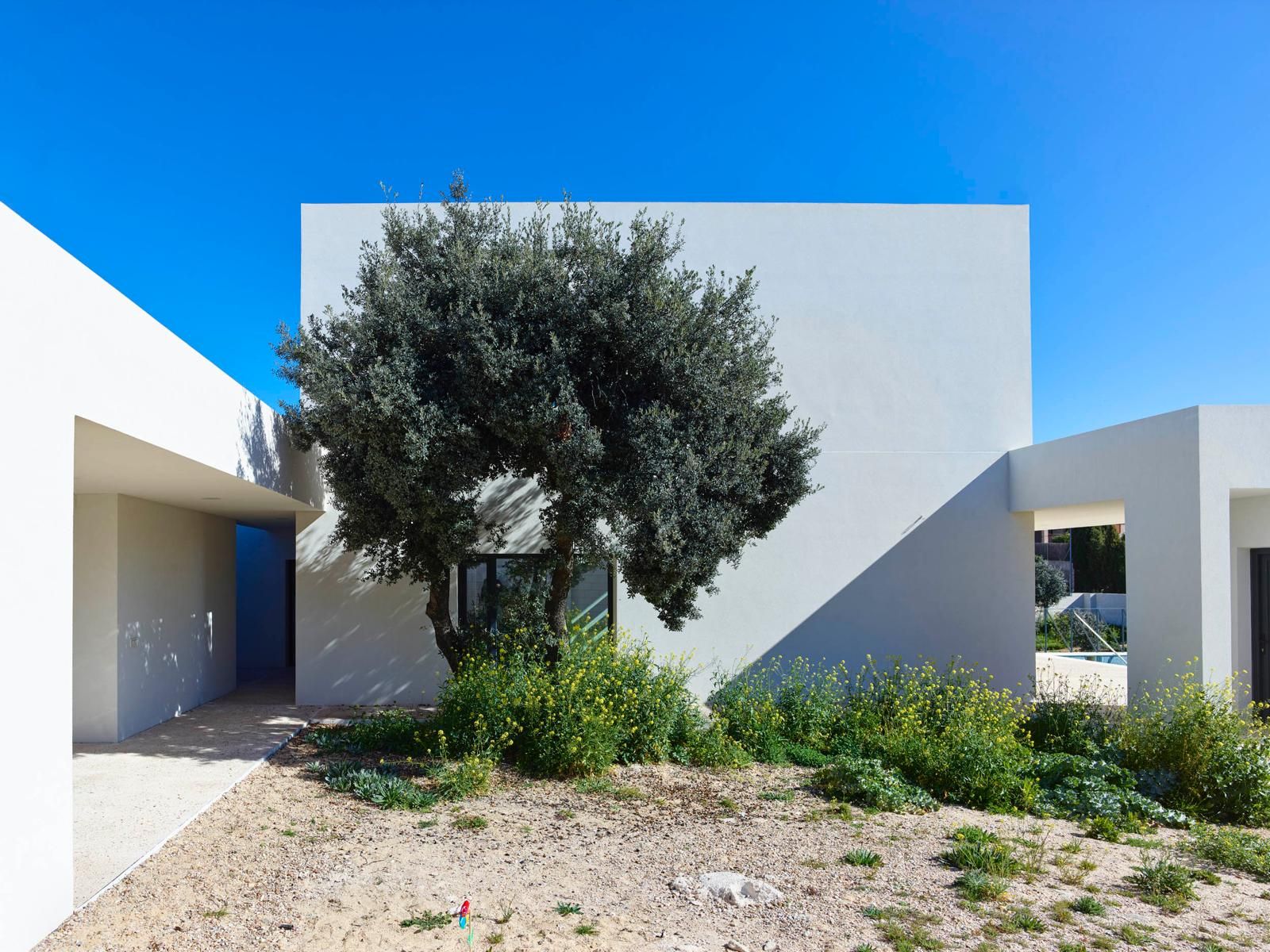 Casa Carolina, Urbanización San Bernardo, Toledo. Imagen 4